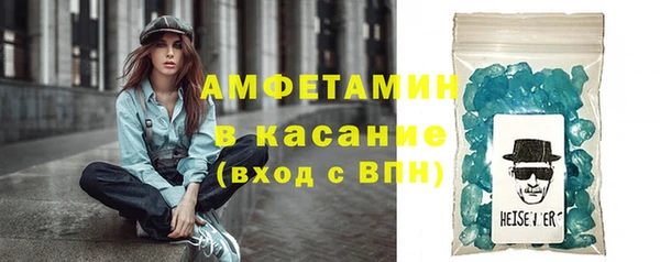 гидра Няндома