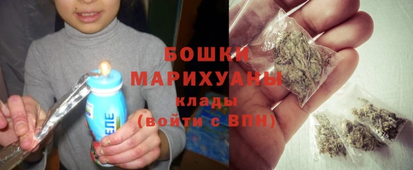 гидра Няндома