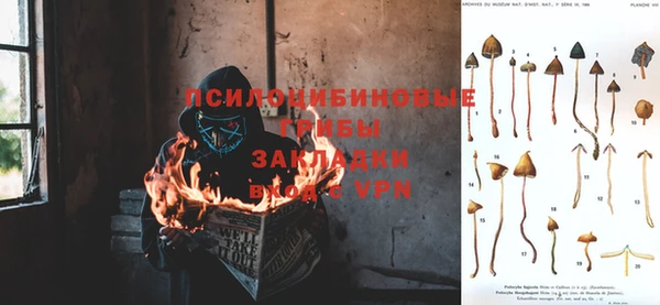 кокс Нягань
