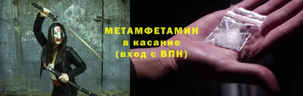гидра Няндома