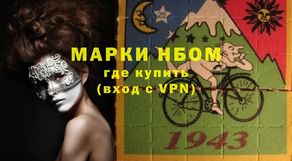 гидра Няндома