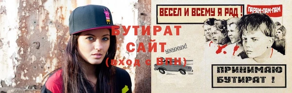 гидра Няндома