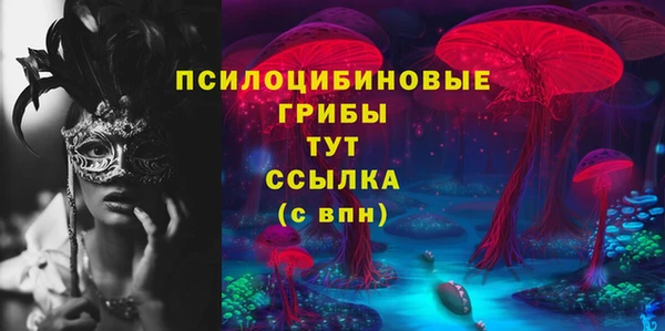 гидра Няндома