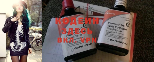 гидра Няндома